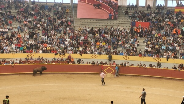 Fiestas Patronales de Moralzarzal 2025. Encierro
