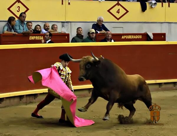 Fiestas Patronales de Moralzarzal 2025. Novillada