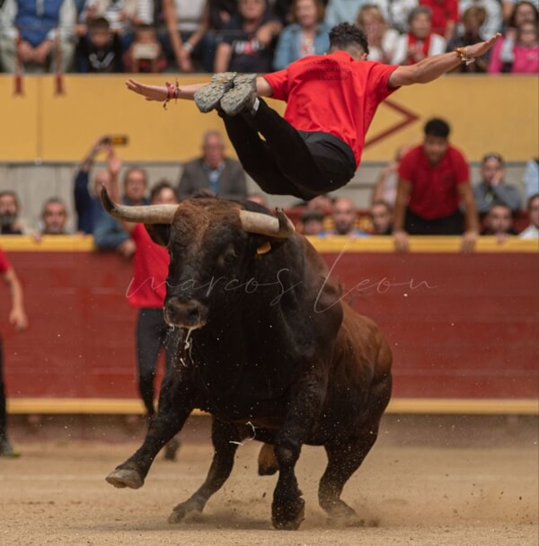 Fiestas Patronales de Moralzarzal 2025. Toro de frascuelo
