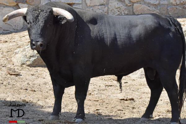 Montealto 1